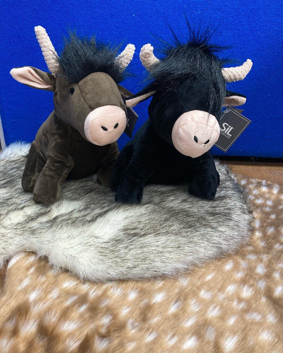 NorthdownRugs's tweet photo. New stock; cosy and cute in time for this chillier weather. Highland Cow Door Stops and gorgeous micro faux fur rugs. They’ll be in the shop tomorrow Burley &amp; Field Lombard St or DM for more info. Free delivery Thanet #burleyandfield #northdownrugs #cozy #interiors #margate https://t.co/vEr8aO1KDt