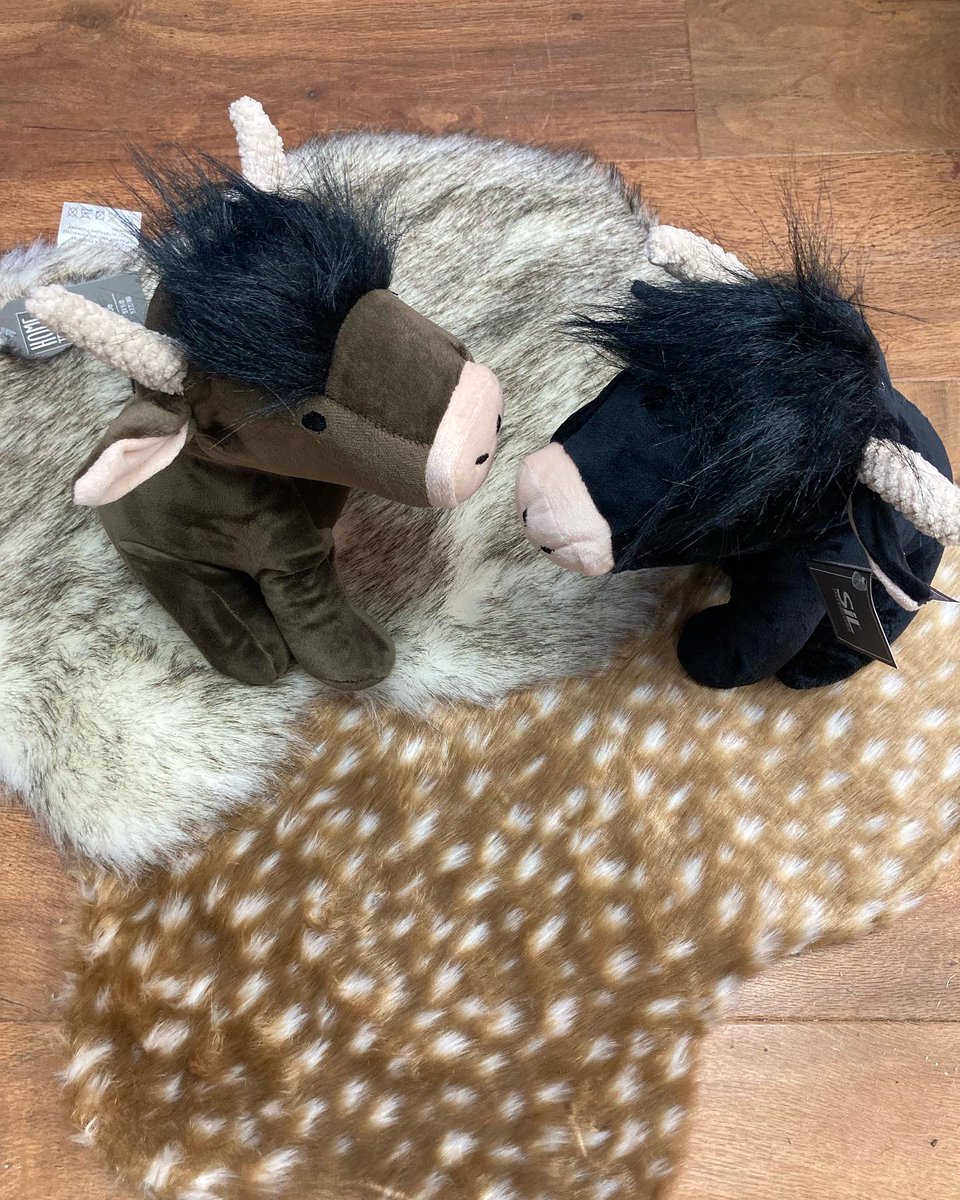 NorthdownRugs's tweet photo. New stock; cosy and cute in time for this chillier weather. Highland Cow Door Stops and gorgeous micro faux fur rugs. They’ll be in the shop tomorrow Burley &amp; Field Lombard St or DM for more info. Free delivery Thanet #burleyandfield #northdownrugs #cozy #interiors #margate https://t.co/vEr8aO1KDt
