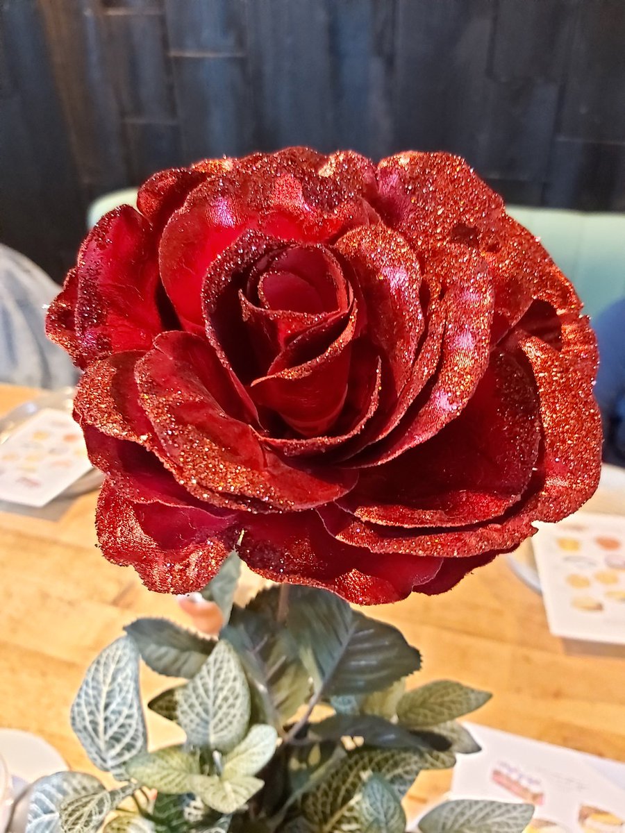 sammystead45's tweet photo. @MusicDrama1 We sneaked off for a day today to see Beauty and the Beast 🌹
It was amazing!! 
K loved the show . https://t.co/z0CJi5Ntao