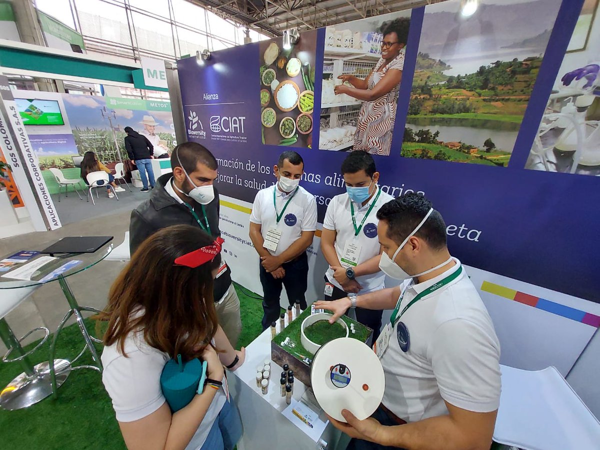 BiovIntCIAT_esp's tweet photo. 📍Te esperamos en @ExpoAgrofuturo, Pabellón Blanco stand 604, para que conozcas nuestras soluciones científicas que aprovechan la biodiversidad y transforman los #SistemasAlimentarios para mejorar la vida de las personas en medio de una crisis climática.
🇨🇴https://t.co/iTHHUWlWaV https://t.co/mN47UEnWG7