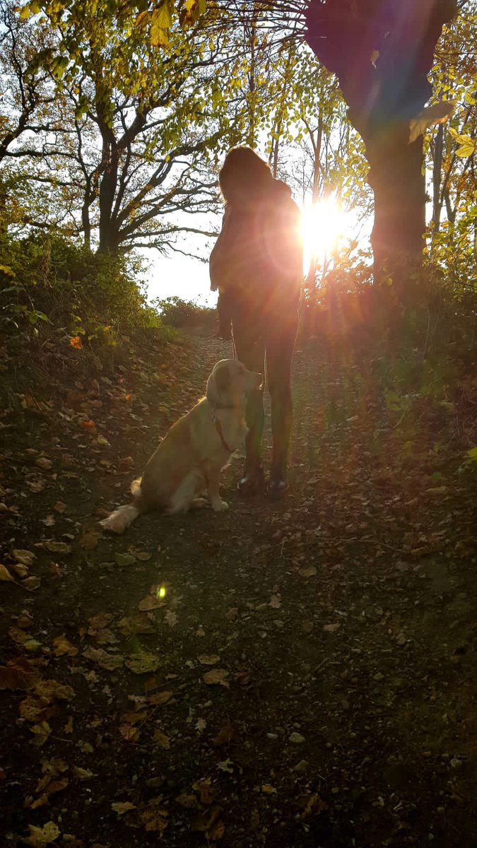 h2oluc's tweet photo. Ik vraag iedereen die van natuur houdt een zelf genomen foto te plaatsen. Alleen foto, geen tekst. Doel is om beetje rust en balans in de negatieve sfeer te creëren. Doe je mee? Kopieer tekst en plaats natuurfoto op je eigen tijdlijn. Dan kunnen we met z’n allen ervan genieten https://t.co/cZzrp6feed