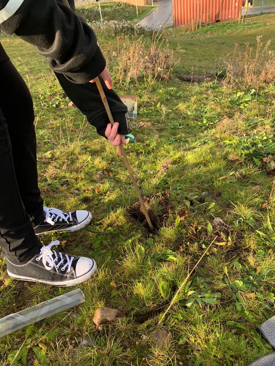 Alness Academy student support tweet media