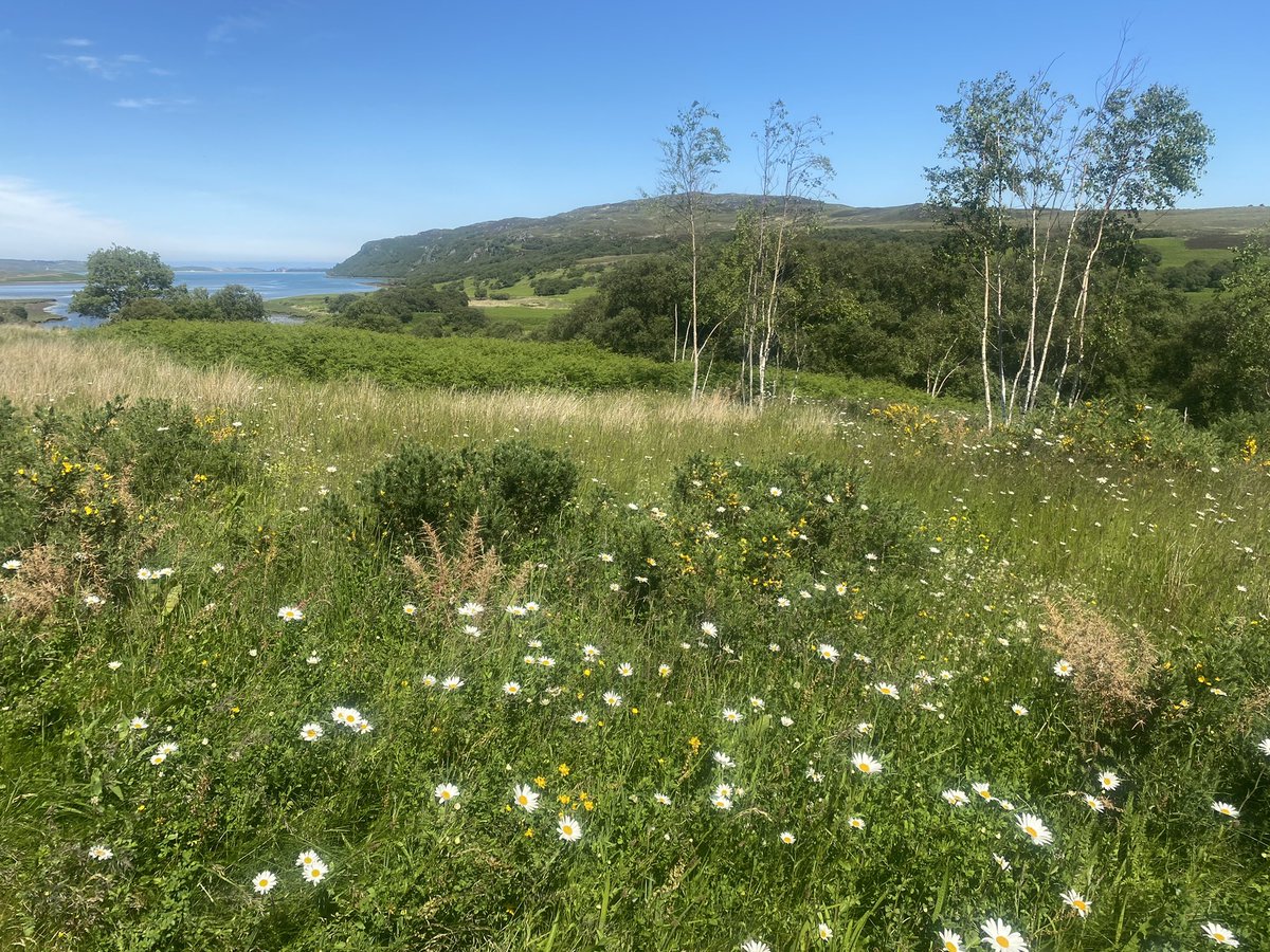 Bob Reid 🇺🇦🏴🇨🇦 tweet media