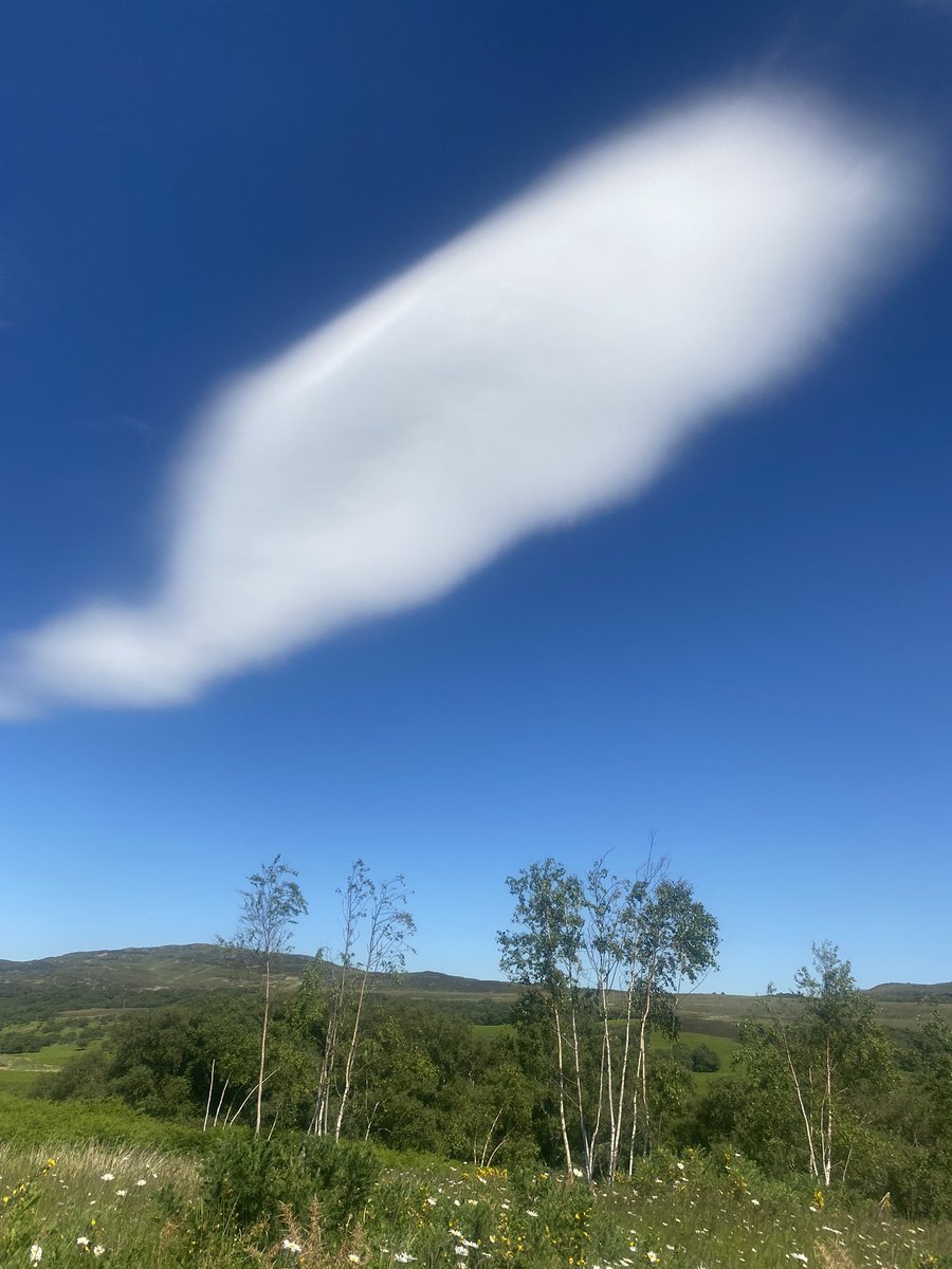 Bob Reid 🇺🇦🏴🇨🇦 tweet media