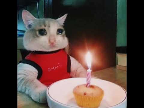 fef_0o's tweet photo. انا كبرت  سنه واليوم عيد ميلادي  ال ٢٥ 🎂 https://t.co/kvTLJW8Rz7