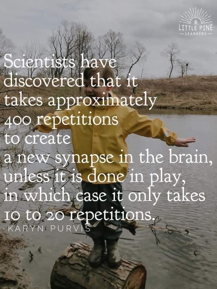 OMS Tigers PE tweet media