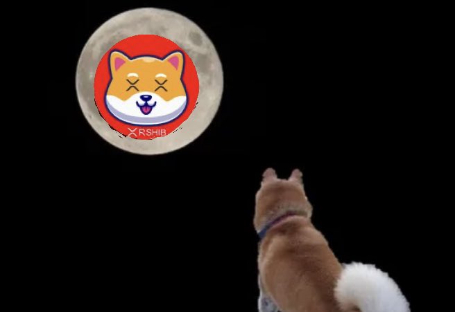 #Giveaway Time! 1million prize pool for 5 Winners!
Ends in 4 Hours

2 days until airdrop!

☑Follow 
<a href="/XRshib/">SHIB · Powered by the XRP Ledger</a>

☑Heart+Tag 5 people+Quote Retweet+use hashtags below

XRshib is the #1 Popular in Open Trustlines thanks to you guys

#XRPArmy #XRPCommunity #XRPL #ShibaArmy #Xumm #Xumm