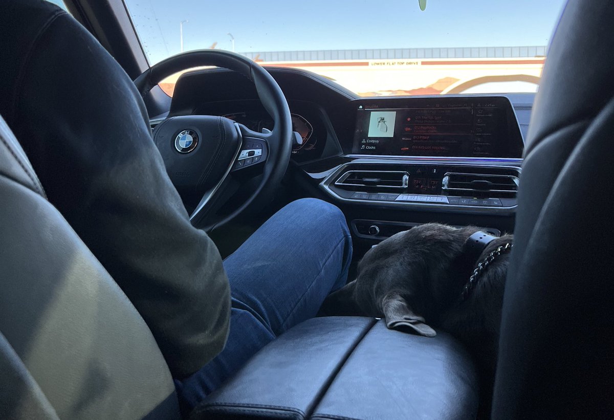 My dog stole my seat 🙄