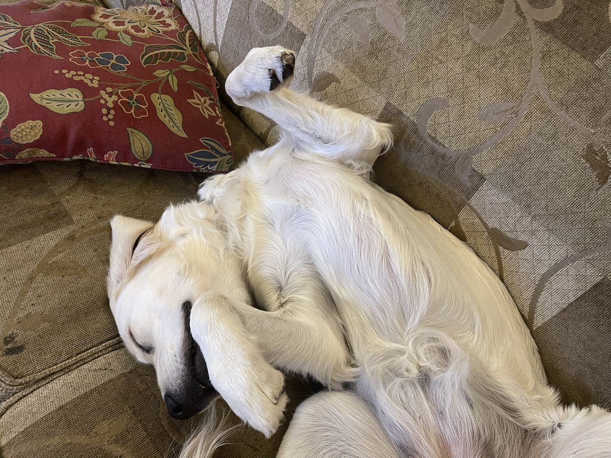 Hoa Paul Duong (McCausland__) Twitter