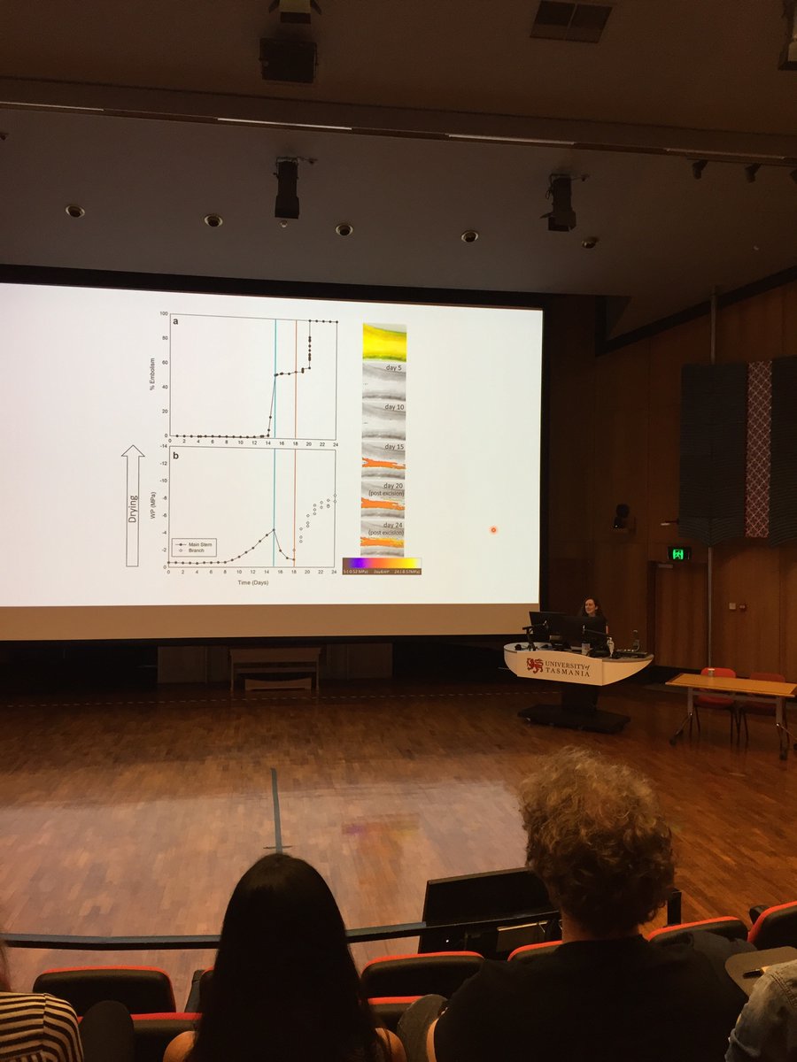 Beatrice Harrison Day tweet media