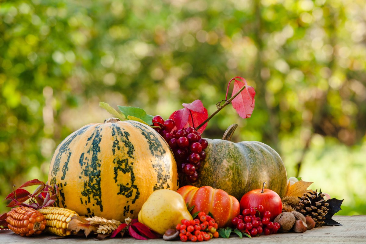 ElexityIO's tweet image. As we break for the #Thanksgiving holiday, Extensible Energy is grateful for our employees, for our health, for our partners, for our customers, and for our #energyefficiency and #loadflexibility advocates who are helping to decarbonize and balance the grid for renewable energy.