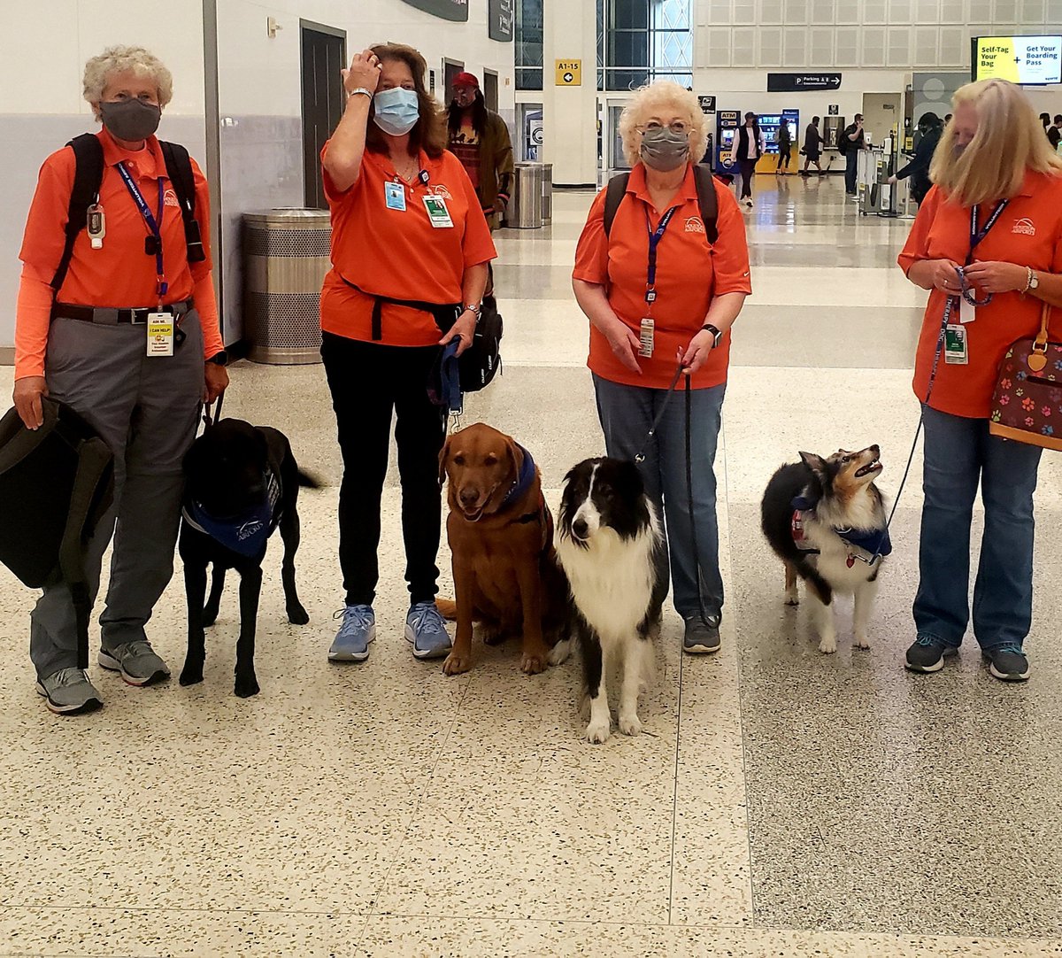 ellaghica's tweet photo. It was a blast seeing so many of our airport guests enjoying the magic offered by our #PetTherapy #MakingAnImpact #TravelExperience  #customerexperience #AirportFun #HOUSTONFRIENDLY @APTherapyDogs #Thank you Brandy, Bunker, Keen and Shotgun #YouRock #We❤You!!!! https://t.co/m17x161Gxn
