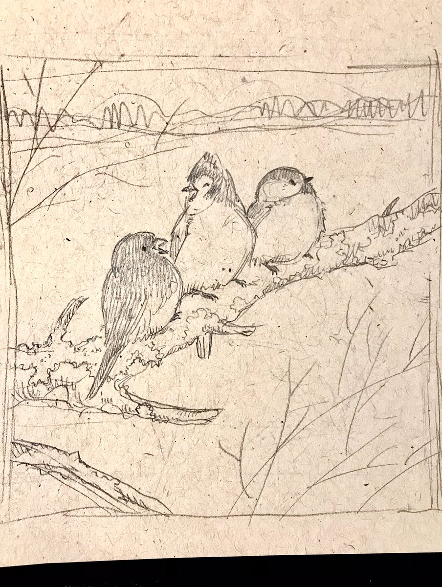 Well it's birds so- 