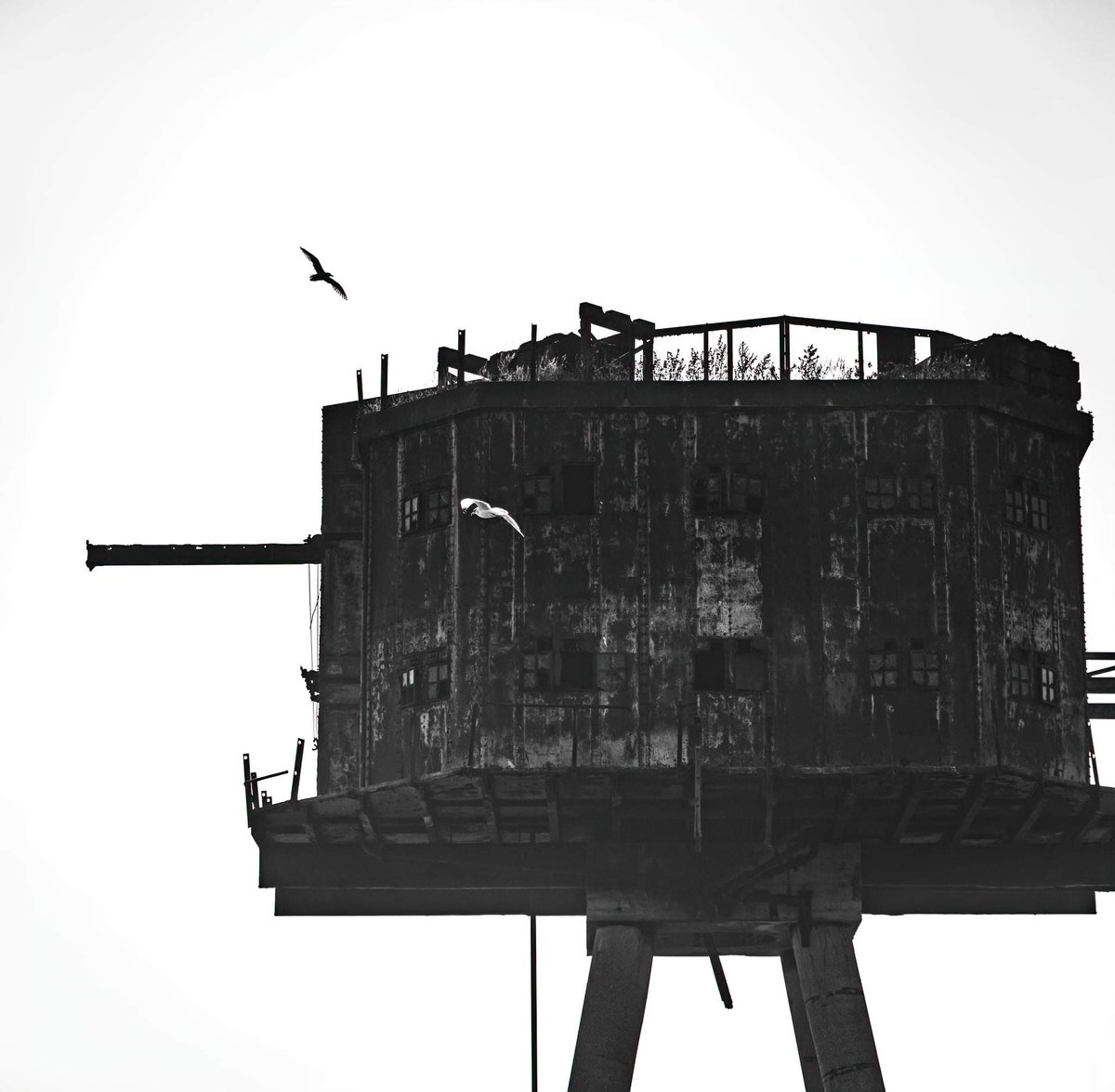FriendsSouthend's tweet photo. A boat trip to Mulberry Harbour, Red Sands Fort and SS Richard Montgomery wreck by @dglawdzin
#mulberryharbour #redsandsfort #ssrichardmontgomery #southendpier #thamesestuary #essexcoast #shoeburyness #shoebury #essex #southend https://t.co/RVxUOdfajD