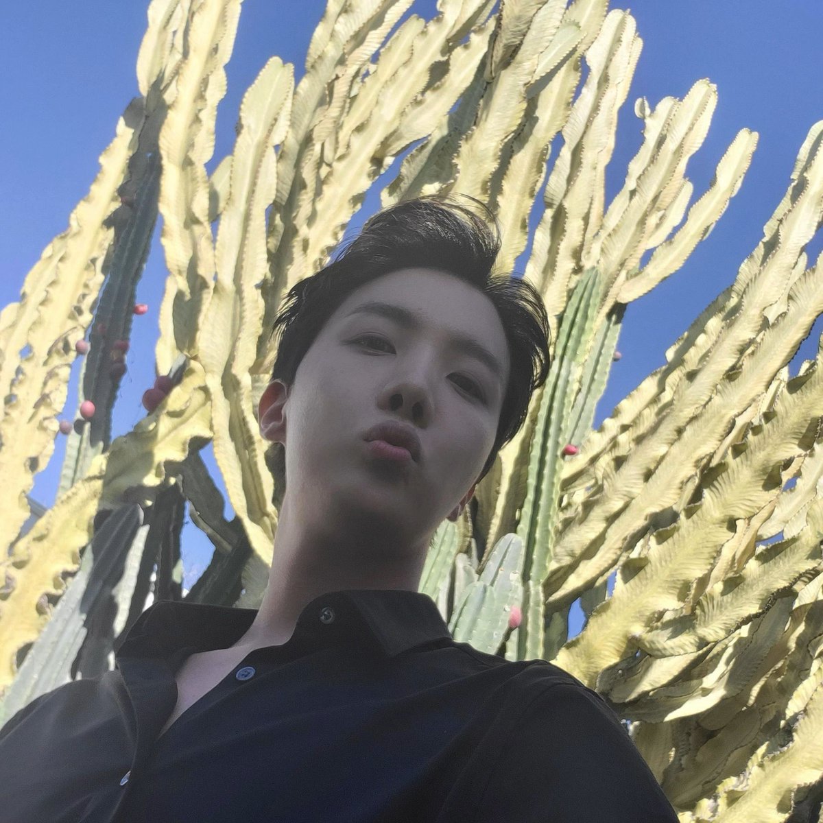 IIONLY84's tweet photo. pov: you are the dirt on his shoes /hj https://t.co/jYKft9H8sS