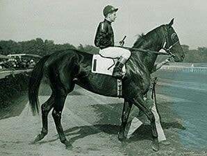 HORSERACING1002's tweet photo. BUSANDA 1947
(WAR ADMIRAL - BUSINESSLIKE BY BLUE LARKSPUR)
B. Ogden Phipps (Ky)
O. Ogden Phipps
T. James E. Fittssimons
65-10-5-13 , 182,460 earnings
Alabama Stakes, Newcastle Handicap, Saratoga Cup Handicap (2), Suburban Handicap, Top Flight Handicap, #Busanda https://t.co/yOYL2SnD6g