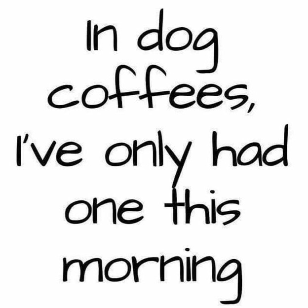 Your_Coffee_Fix's tweet photo. Happy Thanksgiving-Eve! 😊

#coffeetweet #coffeelover #coffeecoffeecoffee #caffeineplease #loveyoualatte #drinkcoffee #hellocoffee #adultingishard https://t.co/k6OebtvUey