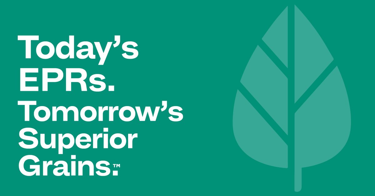 #EPRvarieties are bred better for #AustralianFarmers. It delivers superior barley, canola, pulse and wheat crops that are worth growing. See which #crops are bred for #superiorgrains #AusGrains
bit.ly/EPRVarieties