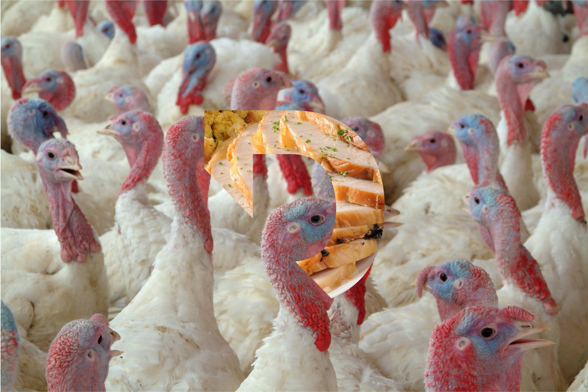 WeAreDecadent's tweet photo. Wishing you an extremely Decadent Thanksgiving!

#Thanksgiving #Turkey #TurkeyDay #HappyThanksgiving https://t.co/PBO3IbHfpl