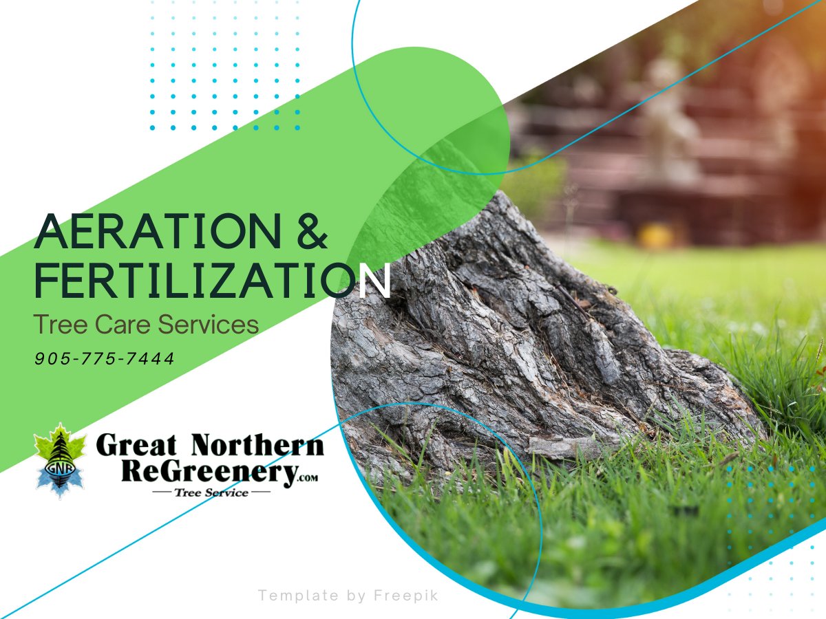 GNReGreenery's tweet photo. Trees in an urban setting often grow in soil with not enough nutrients. Fertilization can help them grow faster, be less susceptible to diseases and pests, and improve their health. Call us if you need help caring for your #trees.
https://t.co/P9Wy88tbs6

#ontariotrees #treecare https://t.co/dEVTGId5MJ