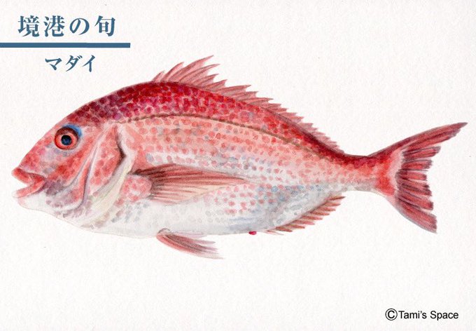 ピクスタのtwitterイラスト検索結果 古い順