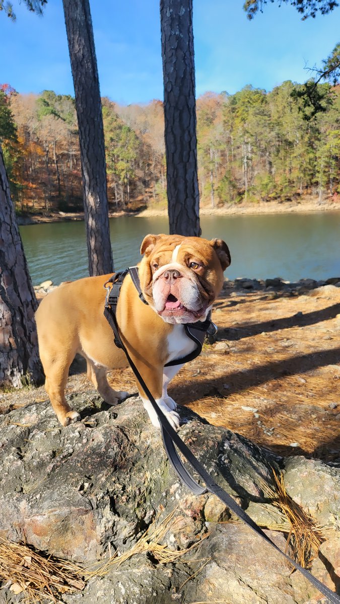 Big Poppa tweet media