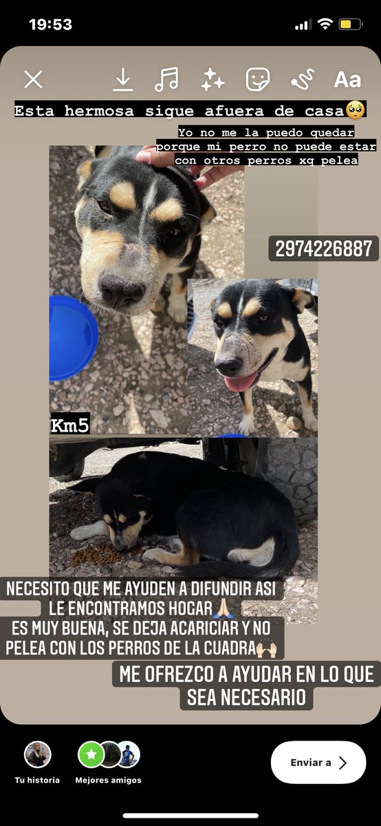 DairaRearte's tweet photo. Por favor ayudenme a difundir 🥺🙏🏻 https://t.co/Mlh5ECd5Xi
