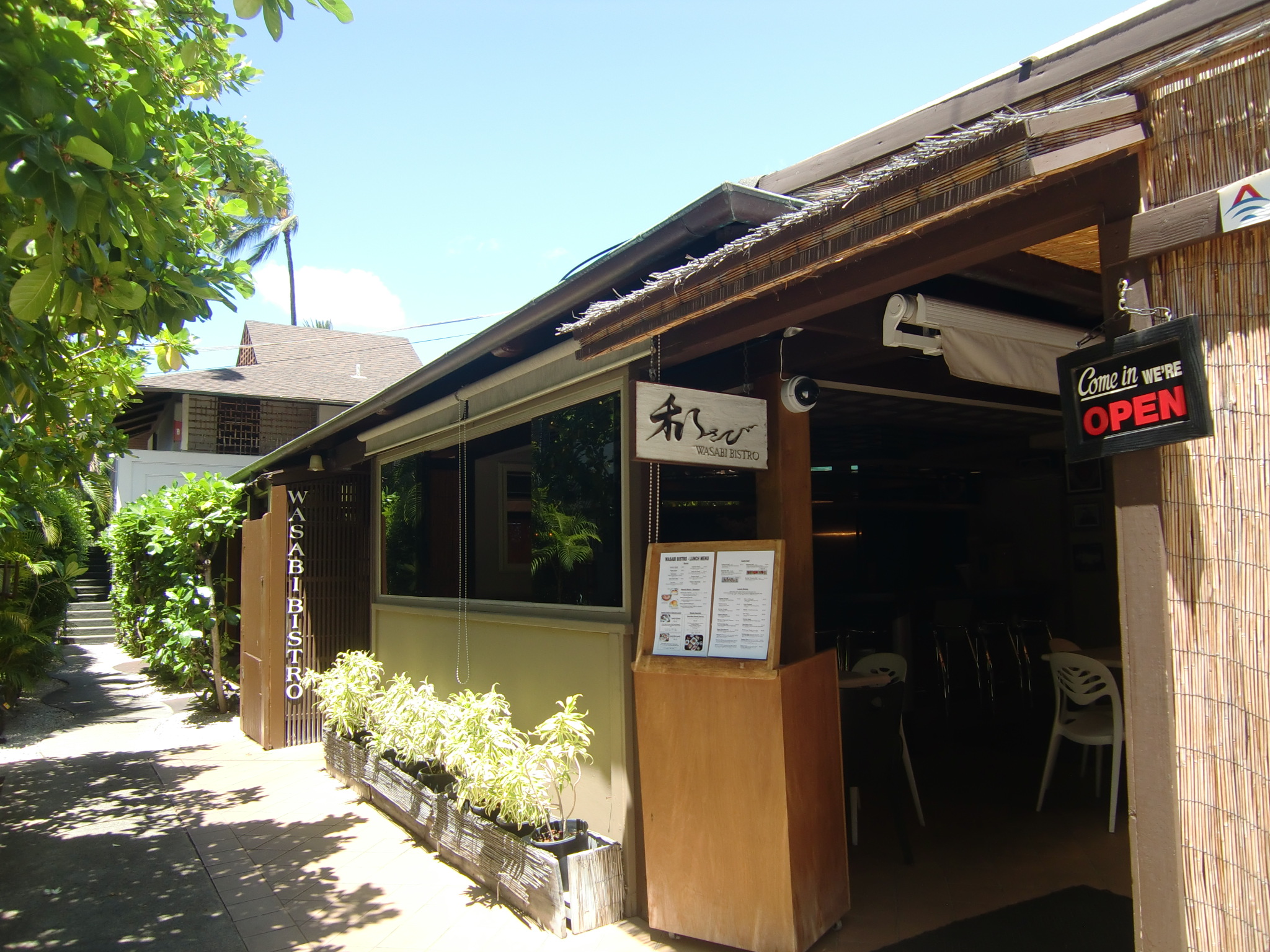 Aloha Hawaiian Music 新シリーズ ハワイ 思い出の一枚 ワイキキのど真ん中にあるノスタルジックな雰囲気のブレイカーズホテル 今から数年前には フロントには二人のかわいい猫ちゃんがいました フロントにいるんですよ かわいい猫ちゃんが