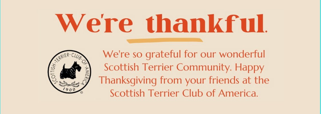 STCAScotties's tweet image. 