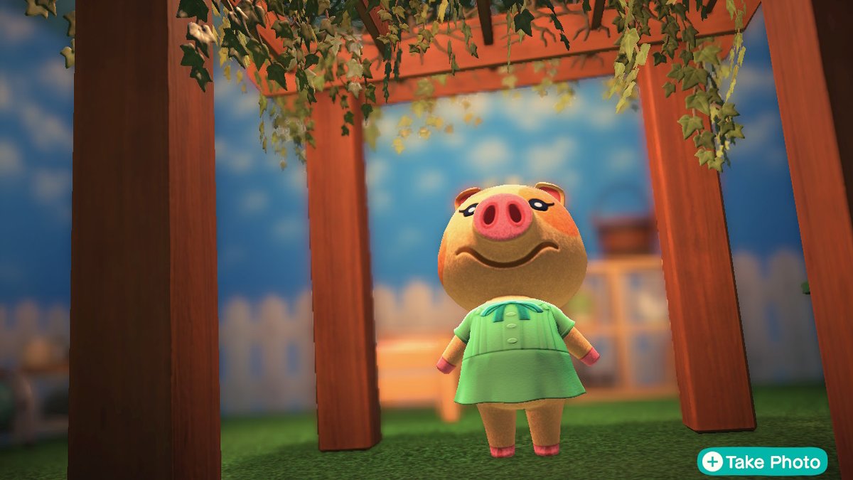 starfall_acnh's tweet photo. #AnimalCrossing #ACNH #NintendoSwitch https://t.co/55xzN5CNEd