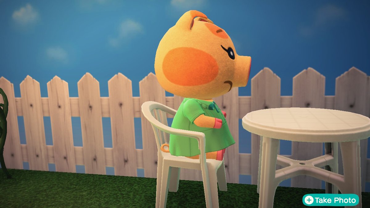 starfall_acnh's tweet photo. #AnimalCrossing #ACNH #NintendoSwitch https://t.co/55xzN5CNEd