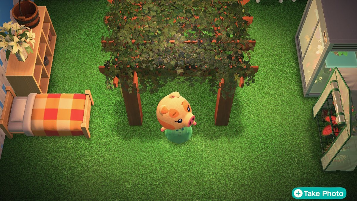 starfall_acnh's tweet photo. #AnimalCrossing #ACNH #NintendoSwitch https://t.co/55xzN5CNEd
