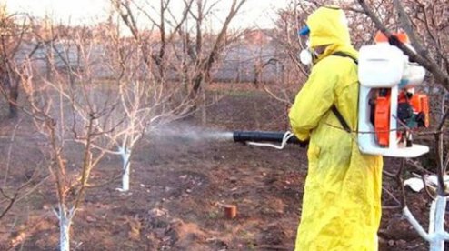 kremen_ua's tweet image. Как опрыскивать растения в саду и почему это нужн…  kremenchug.ua/news/consumer/…

#сады #садоводство #садоводы #растения #опрыскиватели #осень