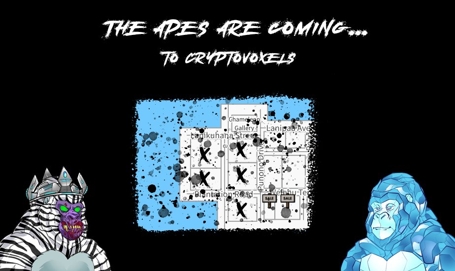 Apes X tweet media