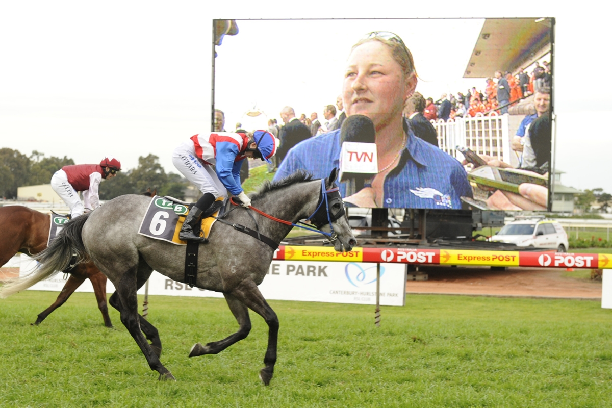 racing_nsw's tweet photo. 10 years ago speedy grey Zaratone won the first of his two Starlight Stakes (2011 and 2013).

Zaratone ended his career with a record of 17 wins and  13 placings from his 71 starts #ThrowbackThursday @Kathy_ohara https://t.co/IQRyKuDmTJ