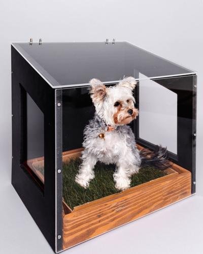 TheCityLoo's tweet photo. SO EXCITED - The City Loo made it onto the South Sound Magazine Northwest-Inspired Gifts list this year! 

https://t.co/95NLwNFtYz 

#CityLoo #PoshPotty #TheCityLoo #dogsofinstagram #divadogs #luxury⁠ #petsofinstagram #dogstagram #425Magazine https://t.co/oPwcFceKDl