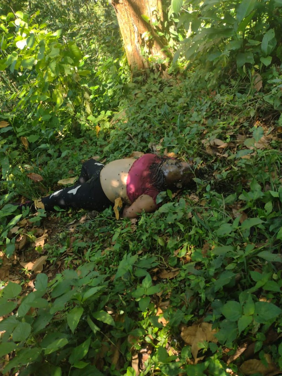 canal9digital's tweet photo. #Nacionales #Urgente #Lamentable
#Canal9

Cuerpo en estado de descomposición de fémina localizada sin vida dentro de terreno baldío en aldea Juárez, Génova Costa Cuca, Quetzaltenango.

Ayer se localizó a un hombre decapitado por el sector. https://t.co/mdGspshUsj