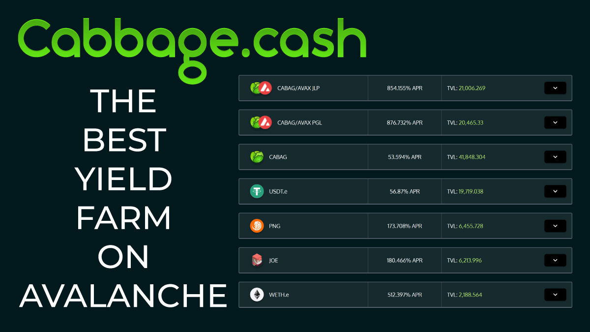 CabbageCashh's tweet image. Don&apos;t miss these APRs on our LP farms! 🔥

Cabbage.Cash 🔗

#avalanche #avax #yieldfarming #defi $cabag
