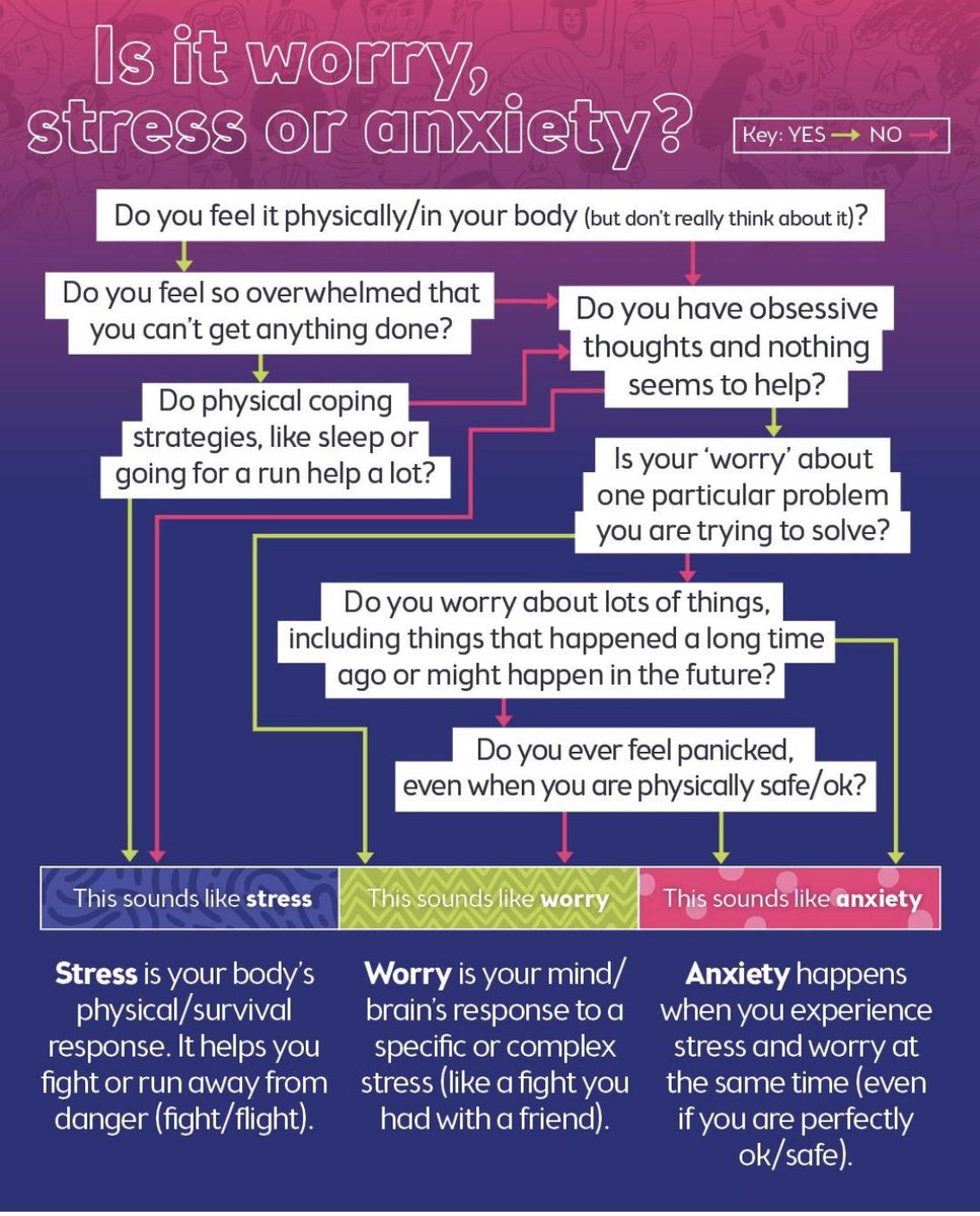 Leila Jorge tweet media