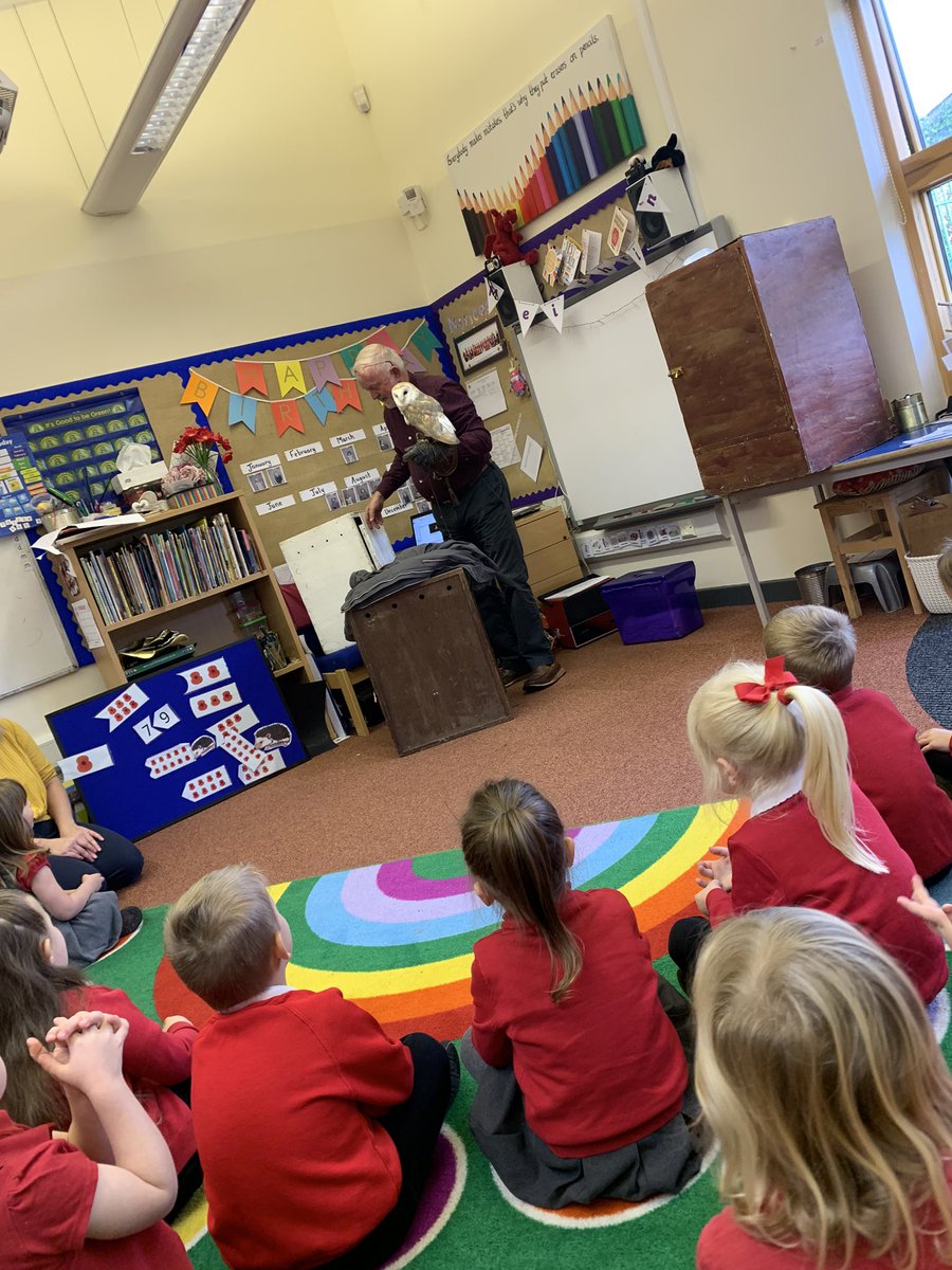 MrsCharlesKV's tweet photo. Today we had some visitors. We have just started to learn about owls 🦉 so we invited some in to take a closer look! Diolch #blackmountainfalconry @EAS_EarlyYears #owlbabies #owlwhowasafraidofthedark https://t.co/MYMT83n7Wb