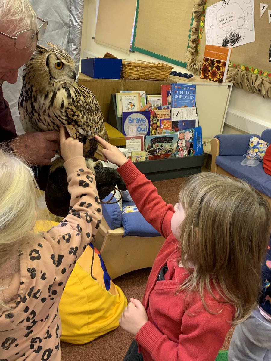 Today we had some visitors. We have just started to learn about owls 🦉 so we invited some in to take a closer look! Diolch #blackmountainfalconry @EAS_EarlyYears #owlbabies #owlwhowasafraidofthedark