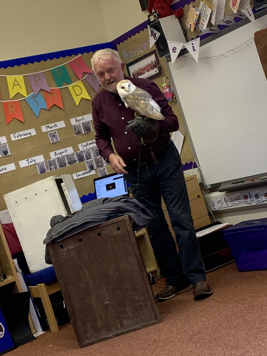 MrsCharlesKV's tweet photo. Today we had some visitors. We have just started to learn about owls 🦉 so we invited some in to take a closer look! Diolch #blackmountainfalconry @EAS_EarlyYears #owlbabies #owlwhowasafraidofthedark https://t.co/MYMT83n7Wb