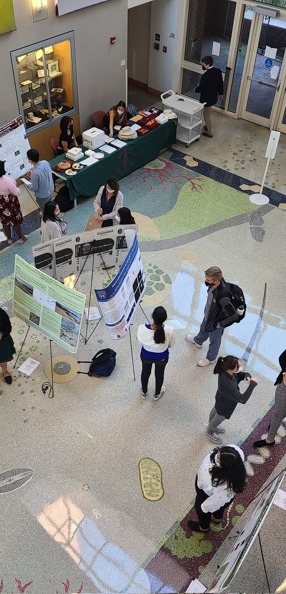 FSU Tri Beta tweet media