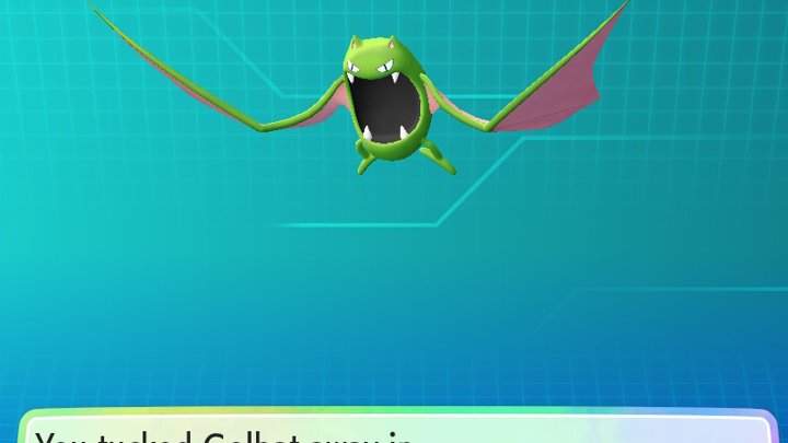 NightyGen's tweet photo. First I went for Onix since it has been postponed many times, but during hunt I stumbled upon Shiny Golbat. At that point it's been 2 days of the same combo so I caught it to break it (and be able to turn off the game - hate wasting combos).

#shiny #shinypokemon #letsgoeevee https://t.co/h7thW1PhM9