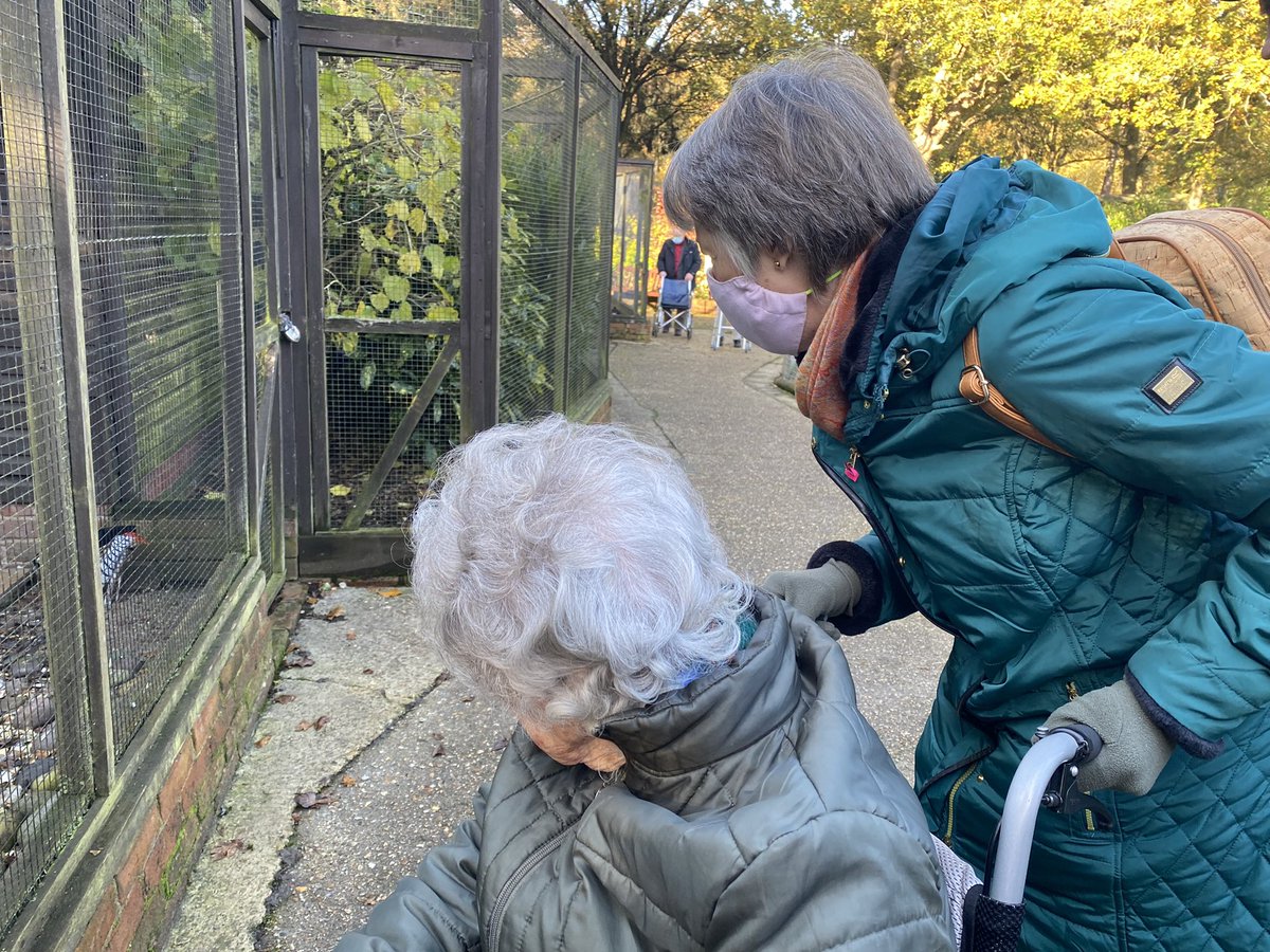 lisabaxter48's tweet photo. A super day trip to Birdworld today 🦜 the residents all had a wonderful time @SunriseSrUK @FleetSunrise https://t.co/b69o9rXLma
