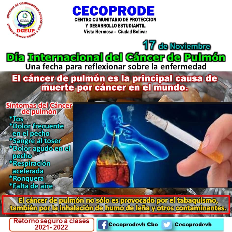 CecoprodeVH's tweet photo. El 17 de noviembre se celebra el Día Internacional de la Lucha Contra el Cáncer de Pulmón, una enfermedad que puede llegar a ser mortal, afectando tanto a hombres como a mujeres en todo el mundo. https://t.co/EpwXIHNXaZ