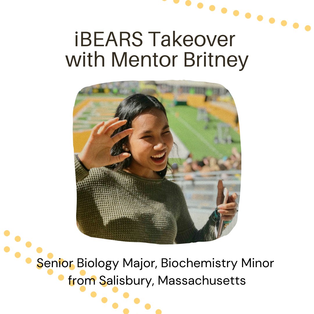iBEARS Network tweet media