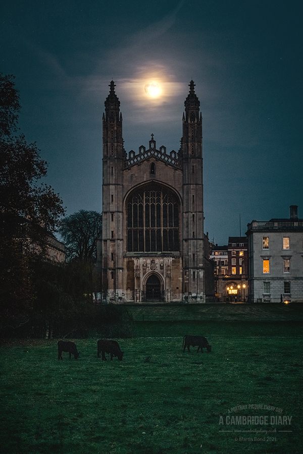 A Cambridge Diary tweet media