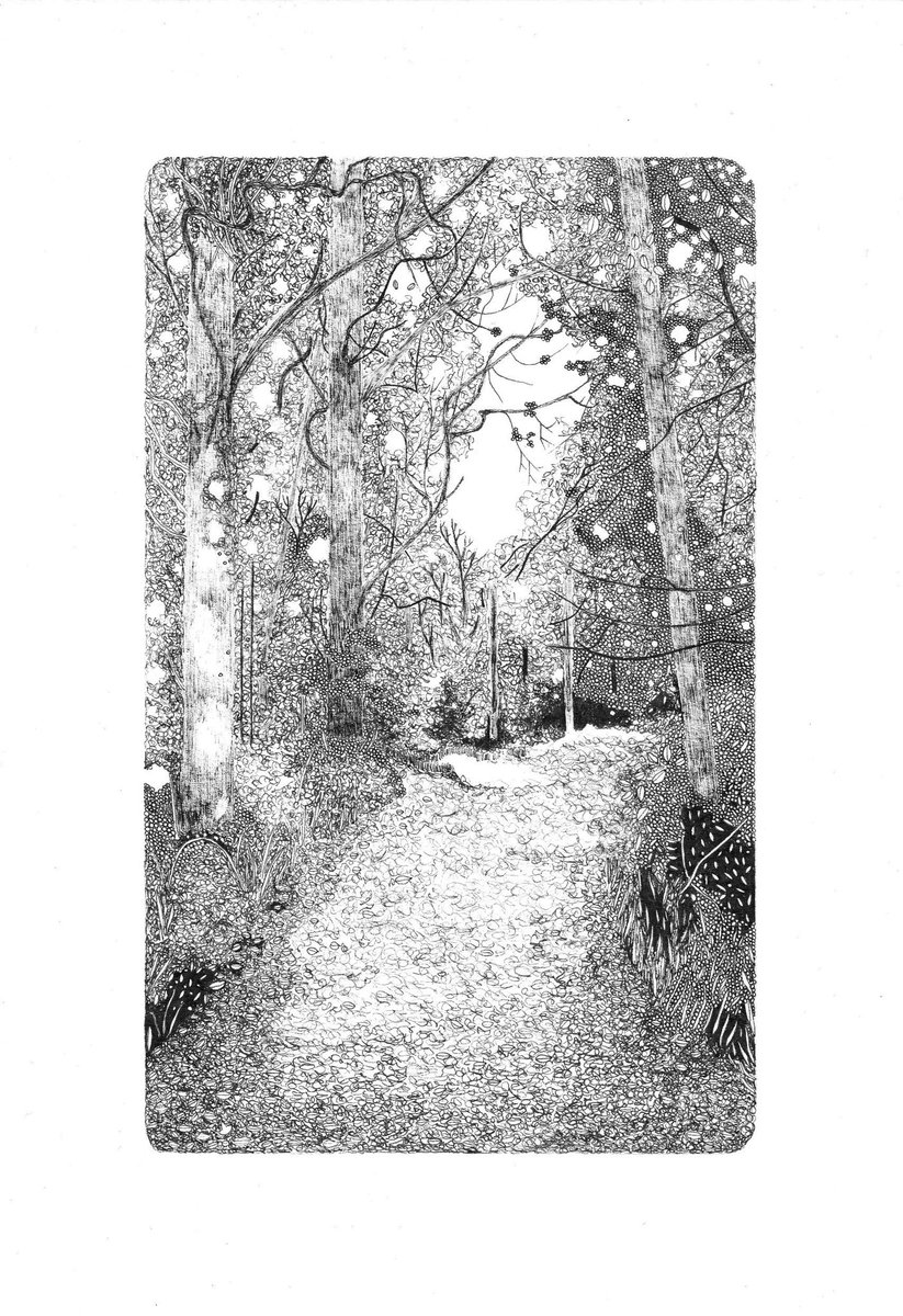 Claire_L_Leach's tweet photo. These drawings are available as high quality prints, inspired by beautiful British woodland. They’d make a perfect gift for a lover of forests and nature walks. https://t.co/fSFodZmY4S #HandmadeHour https://t.co/3bFj0ZxnxP