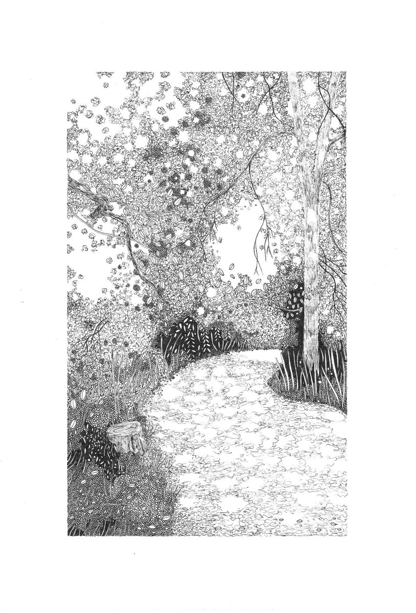 Claire_L_Leach's tweet photo. These drawings are available as high quality prints, inspired by beautiful British woodland. They’d make a perfect gift for a lover of forests and nature walks. https://t.co/fSFodZmY4S #HandmadeHour https://t.co/3bFj0ZxnxP